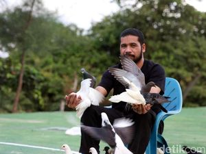 Bahagia di Aceh Itu Sederhana: Dihibur Ratusan Ekor Burung Dara