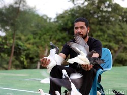 Bahagia di Aceh Itu Sederhana: Dihibur Ratusan Ekor Burung Dara