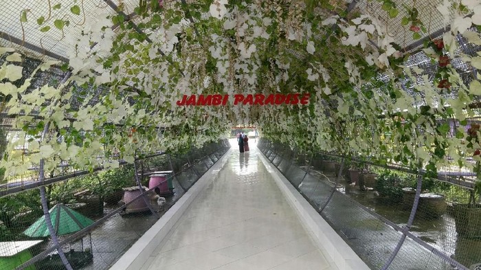 jambi paradise