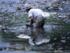Jorok! Sampah Menumpuk di Sungai Citarum Lama Jorok! Sampah Menumpuk di Sungai Citarum Lama
