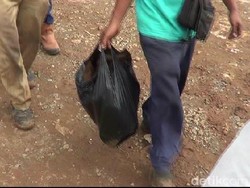 Polisi Duga Crane Jatuh karena Ada Prosedur Pemakaian Tak Sesuai