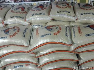 Stok Beras Bulog 642 Ribu Ton, Darmin: April dan Mei Ditambah