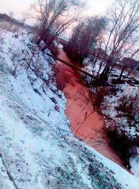 (The Siberian Times)