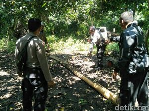 Dua Tukang Serkel Tak Terlibat Pembalakan Liar Akhirnya Dipulangkan