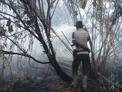 Buka Lahan Cabai dengan Cara Dibakar, Petani di Riau Ditangkap