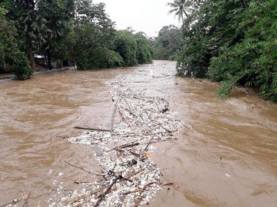 Foto: Derasnya Arus Sungai Ciliwung di Depok, Warga Diimbau Waspada