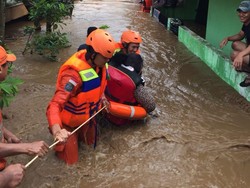 Atasi Banjir Ekstrem di Jakarta, Pengamat Minta RTH Ditambah