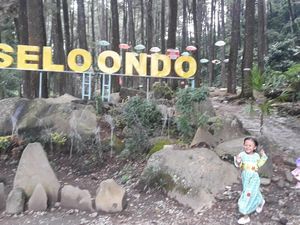 Unik! Batu-batu Bertumpuk di Seloondo Ngawi Unik! Batu-batu Bertumpuk di Seloondo Ngawi