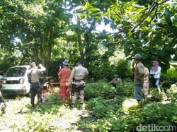 Tiga Warga Situbondo Diamankan Saat Asyik Potong Kayu Jati Curian