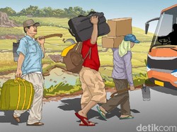 Merantau ke Ibu Kota Jadi Petani