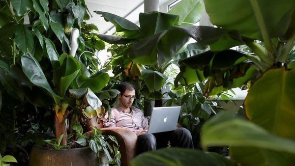 Penampakan Kantor Google Terkeren di Dunia