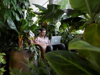 Penampakan Kantor Google Terkeren di Dunia