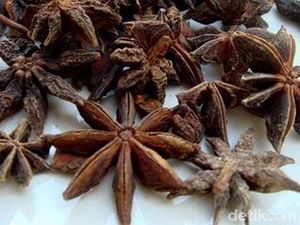 Bukan Rempah Biasa, Bunga Lawang Bisa Usir 3 Hewan Ini dari Rumah Bukan Rempah Biasa, Bunga Lawang Bisa Usir 3 Hewan Ini dari Rumah