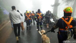 Foto: Anjing Pelacak Dikerahkan Polisi Cari Korban Longsor di Puncak