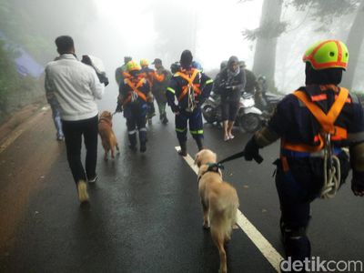 Foto: Anjing Pelacak Dikerahkan Polisi Cari Korban Longsor di Puncak