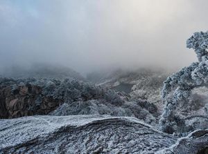 Foto: Penampakan Hutan Es di China