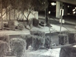 2 Gelandangan di Las Vegas Tewas Ditembak Pria Misterius