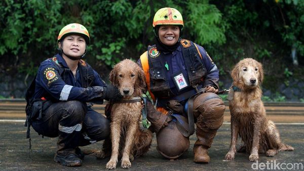 Alfa dan Delta Bantu Pencarian Korban Longsor Puncak