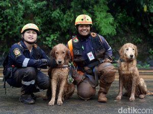 Alfa dan Delta Bantu Pencarian Korban Longsor Puncak