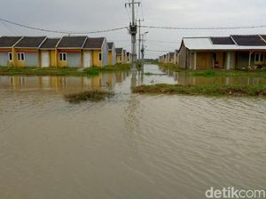 Rumah DP 1% Jokowi Sebelum dan Sesudah Banjir Rumah DP 1% Jokowi Sebelum dan Sesudah Banjir