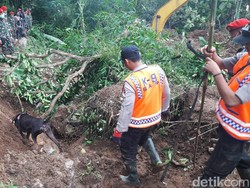Korban Ke-4 Longsor Cijeruk Ditemukan Berkat Endusan Anjing Pelacak