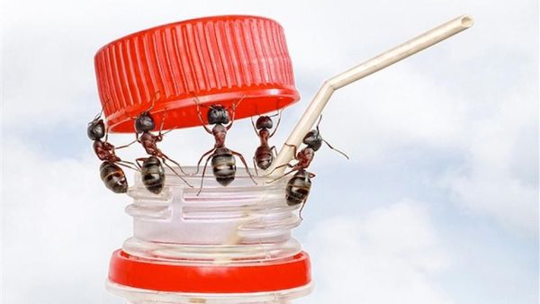 Deretan Foto Kece Tanpa Sentuhan Photoshop