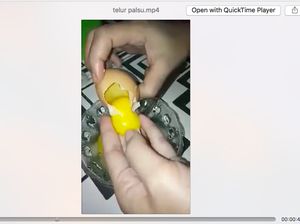 Heboh Video Telur Palsu Cangkang Disebut Mirip Kertas