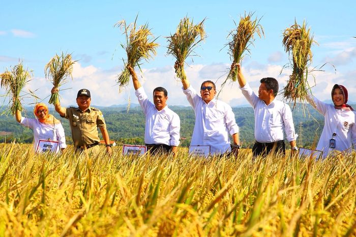 Foto: Mentan Amran Sulaiman menggelar panen raya padi di Garut (Dok. Kementan)