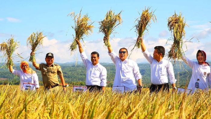 Foto: Mentan Amran Sulaiman menggelar panen raya padi di Garut (Dok. Kementan)