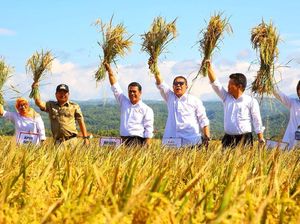 Bantu Petani, Kementan Bentuk Tim Serap Gabah