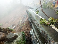 Ada Longsor, Badan Geologi Periksa Pergerakan Tanah di Kabupaten Bogor