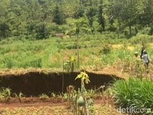 Lubang Raksasa di Gunungkidul Resahkan Warga, Ini Saran dari Geolog Lubang Raksasa di Gunungkidul Resahkan Warga, Ini Saran dari Geolog