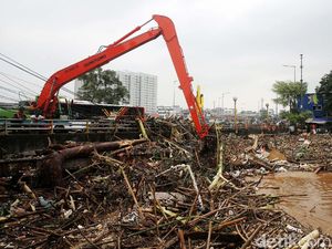 Terbawa Banjir, Sampah Batang Kayu Menumpuk di Jembatan