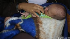 Foto: Umurnya Baru 10 Hari, Bayi Ini Hidup di Kolong Jembatan