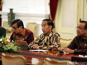 Presiden Jokowi Terima Kunjungan Komisaris HAM PBB