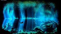 Foto Menakjubkan Pemenang Kontes Underwater 2017