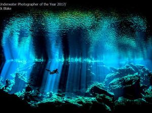 Foto Menakjubkan Pemenang Kontes Underwater 2017