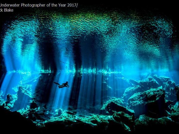 Foto Menakjubkan Pemenang Kontes Underwater 2017