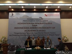 Ikut Bangun Papua, Diaspora RI Siap Gelontorkan Rp 4,7 M/Tahun