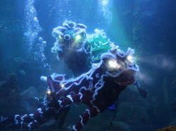 Libur Panjang Imlek, Ada Barongsai Dalam Air di Ancol