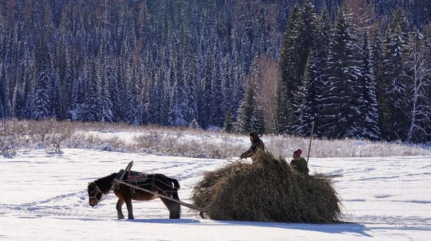 6 Aktivias Petualangan yang Bisa Dilakukan di Mongolia