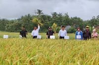  Selamatkan Petani, Mentan Siapkan Rp 7 M untuk Serap Gabah