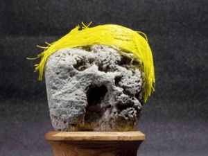Jepang Punya Museum Batu yang Menyerupai Wajah Manusia Jepang Punya Museum Batu yang Menyerupai Wajah Manusia