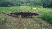 Foto: Ini Lubang Raksasa Misterius di Gunungkidul yang Bikin Geger
