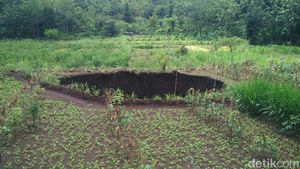 Foto: Ini Lubang Raksasa Misterius di Gunungkidul yang Bikin Geger