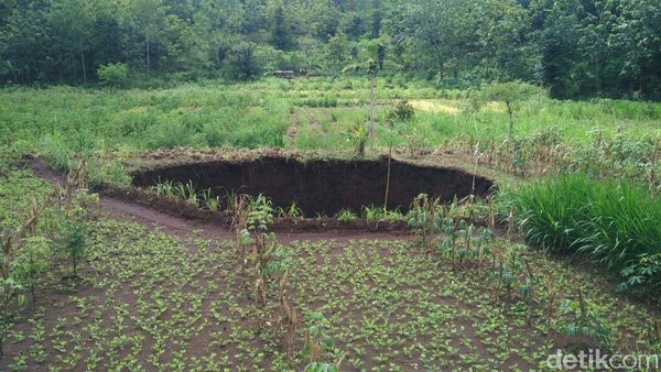 Foto: Ini Lubang Raksasa Misterius di Gunungkidul yang Bikin Geger