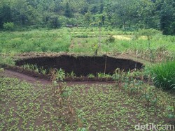 Melihat Lebih Dekat Lubang Misterius yang Muncul di Gunungkidul