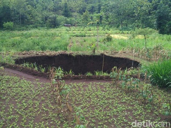 Foto: Ini Lubang Raksasa Misterius di Gunungkidul yang Bikin Geger