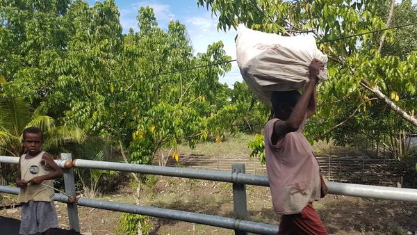 Foto: Begini Kampung di Asmat yang Bersahabat Gulita Tanpa Listrik