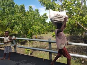 Bangun Jalan di Asmat, Material Harus Dibawa dari Surabaya